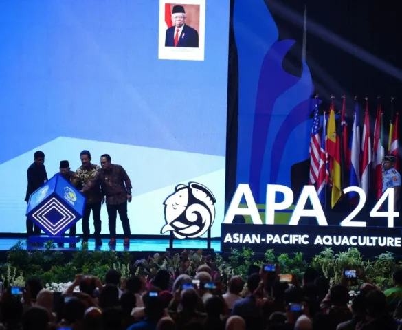 APA2024_00447